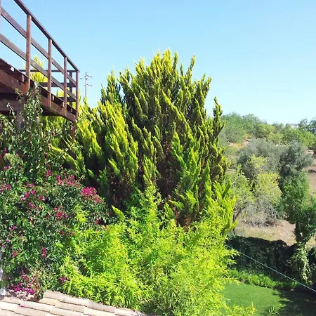 Villa Costa Do Sol Лагоа